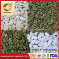 High Quality Shine Skin Pumpkin Seed Kernels From China